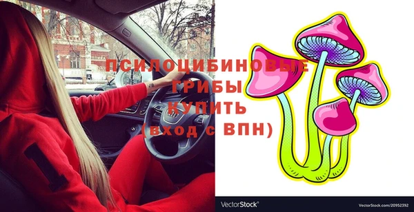 spice Кинешма