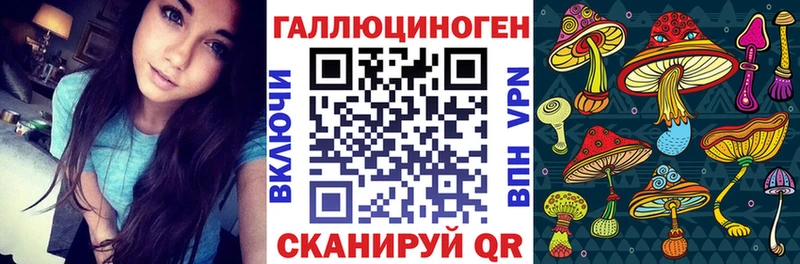 маркетплейс официальный сайт  Александровское  Псилоцибиновые грибы GOLDEN TEACHER 